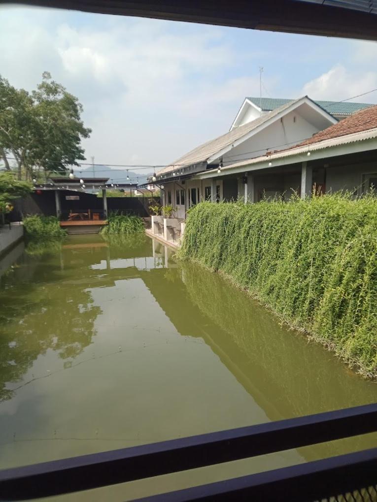 Backyard Guest House Banjar  المظهر الخارجي الصورة